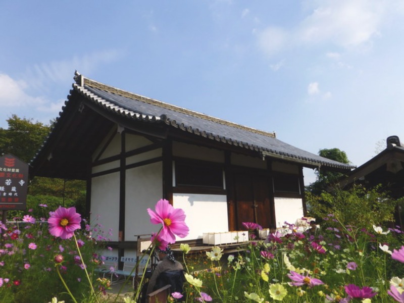 b0174217_20545459.jpg