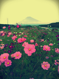 d0006718_6412100.png