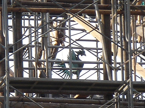 f0229618_20102083.jpg