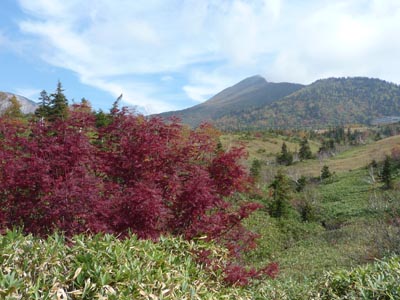 立山アルペンルートトレッキング～その2～_c0227720_22244739.jpg