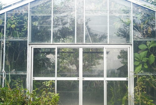 植物園へ行く_b0212922_19514822.jpg