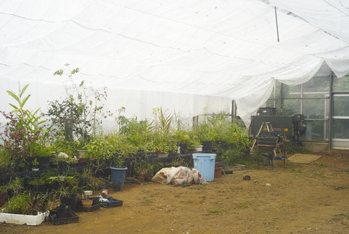植物園へ行く_b0212922_2004440.jpg