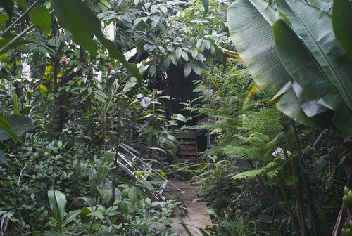 植物園へ行く_b0212922_2005927.jpg