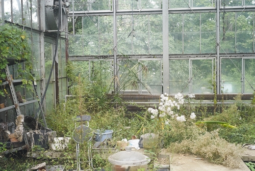 植物園へ行く_b0212922_2042231.jpg