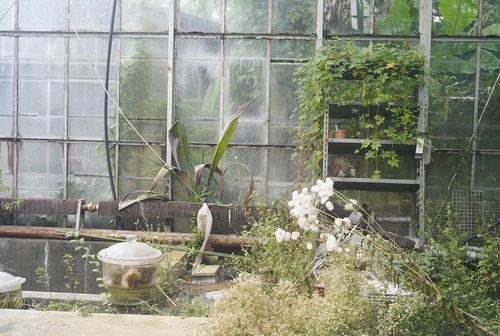 植物園へ行く_b0212922_2043420.jpg