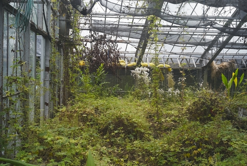 植物園へ行く_b0212922_2044829.jpg