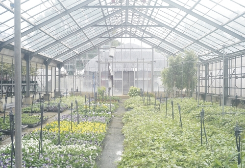 植物園へ行く_b0212922_2061875.jpg