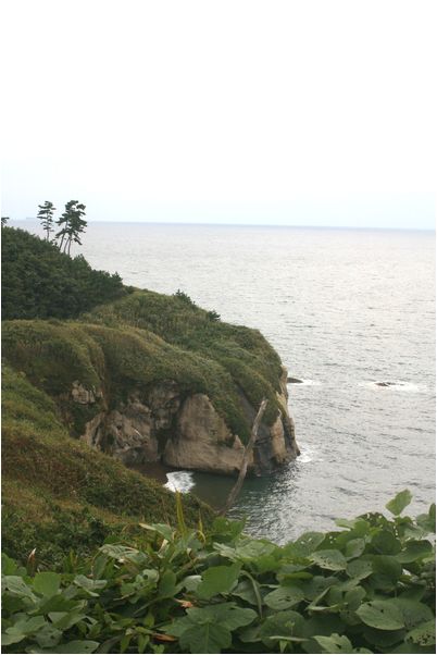 c0003723_14101519.jpg