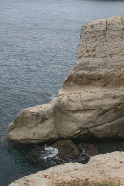 c0003723_14135659.jpg