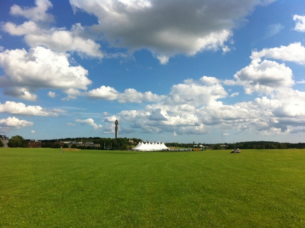 e0250023_872827.jpg