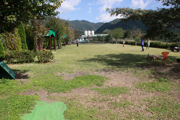 f0203423_16421819.jpg