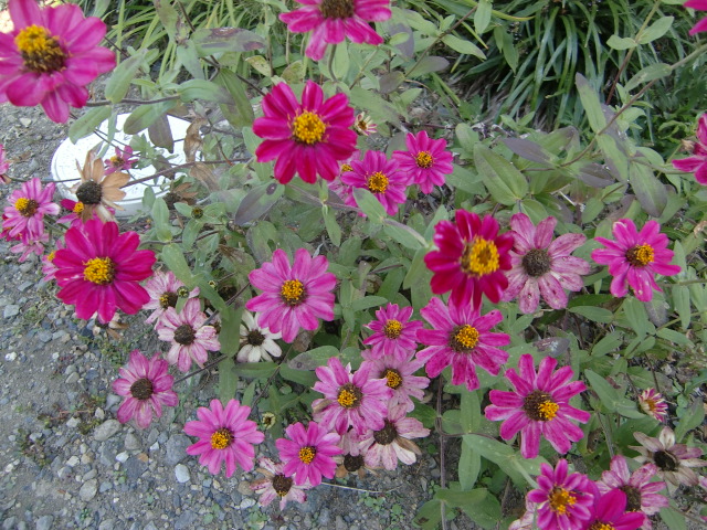 e0234924_16104870.jpg
