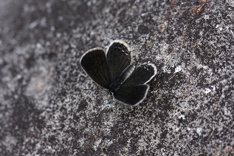 d0054625_2322997.jpg