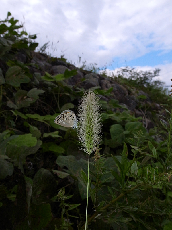 d0054625_2328392.jpg