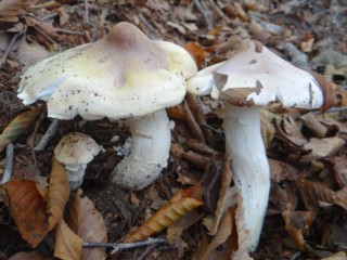 e0266825_15124080.jpg