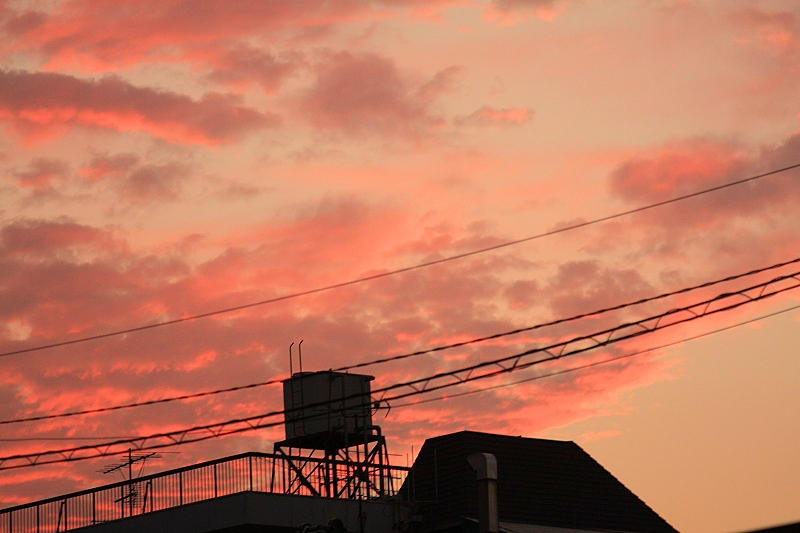 f0225627_22234053.jpg