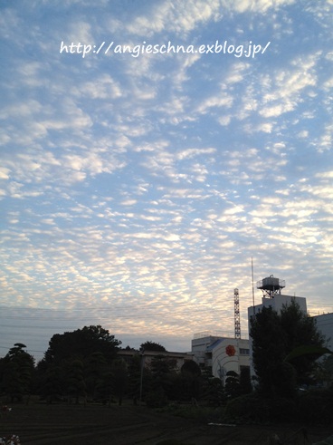 c0236228_18195537.jpg