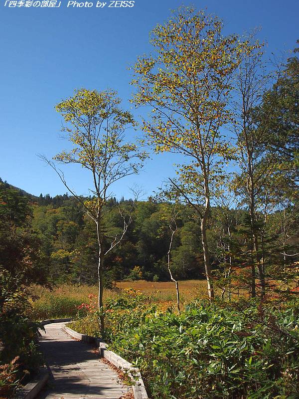 a0195032_21194977.jpg
