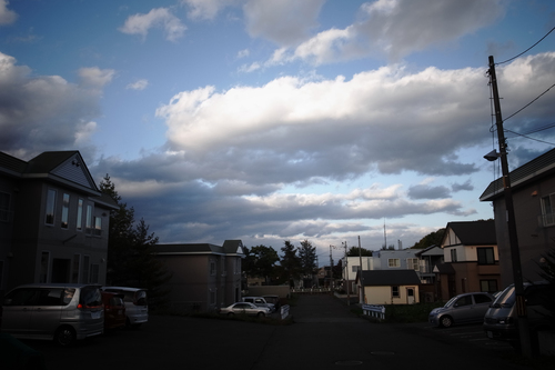 ポッチのケン太君。_c0051132_21375831.jpg