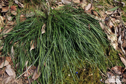c0211532_17224443.jpg