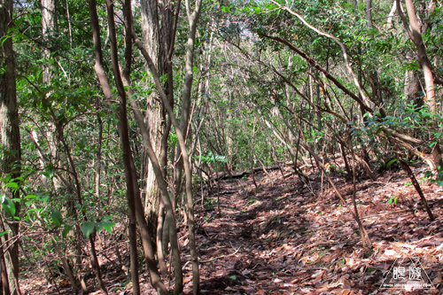 c0211532_17282411.jpg