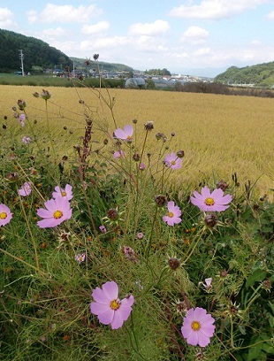 c0221732_1342337.jpg