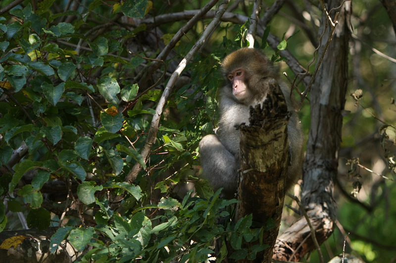 a0087133_013577.jpg
