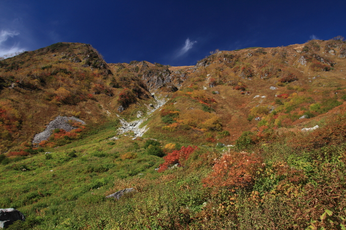 a0203733_22245234.jpg