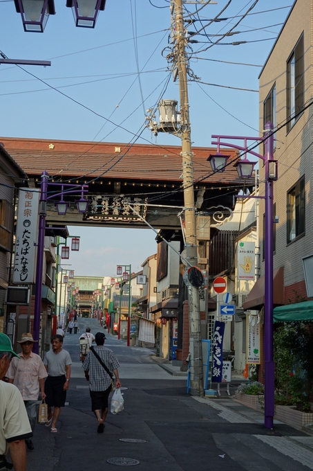 市川市アイ･リンクタウン展望施設その4～法華経寺_a0287336_045996.jpg