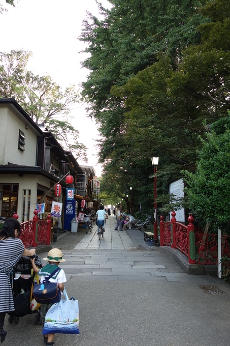 市川市アイ･リンクタウン展望施設その4～法華経寺_a0287336_0511739.jpg