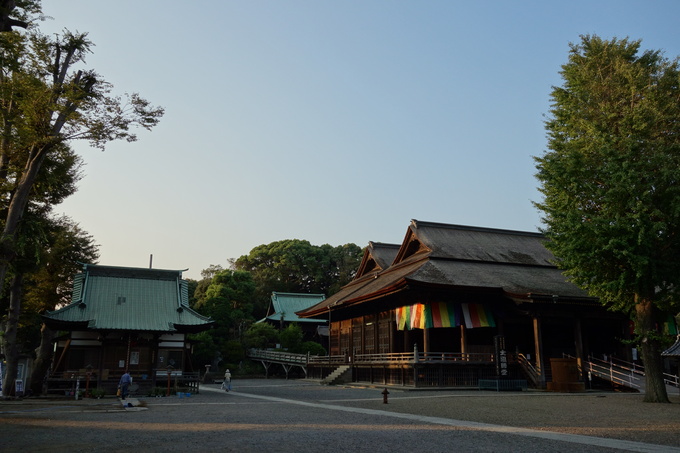 市川市アイ･リンクタウン展望施設その4～法華経寺_a0287336_0513316.jpg