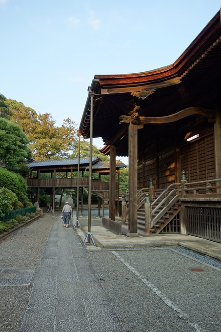 市川市アイ･リンクタウン展望施設その4～法華経寺_a0287336_055314.jpg