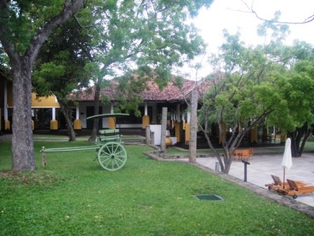 b0206037_13364116.jpg