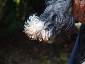 c0119142_39238.jpg