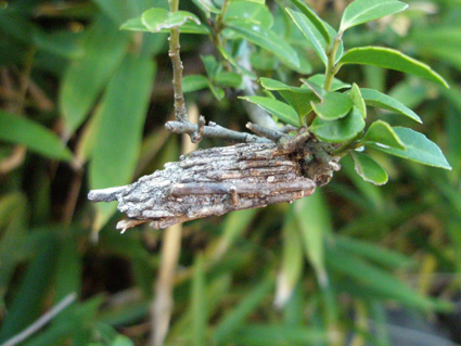 TUE 16 OCTOBER 2012_a0099744_17163663.jpg