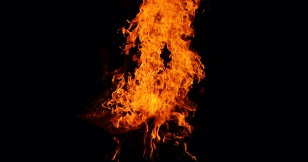 e0086244_17216.jpg