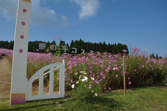 c0093046_1725151.jpg