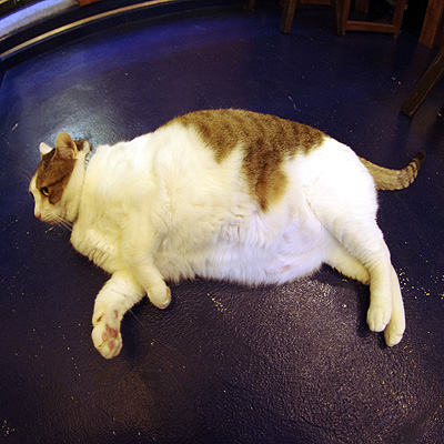 京都3つ編みカフェ巡り_a0028451_1243154.jpg