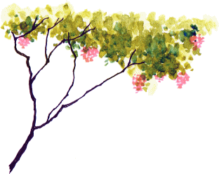 c0043751_19593072.gif