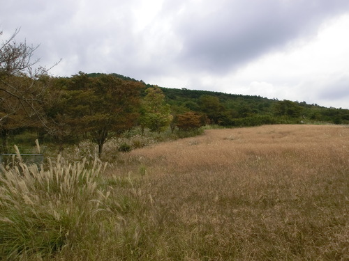 b0276758_17241398.jpg