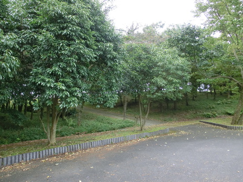 b0276758_17262527.jpg