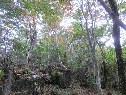b0276758_17293133.jpg