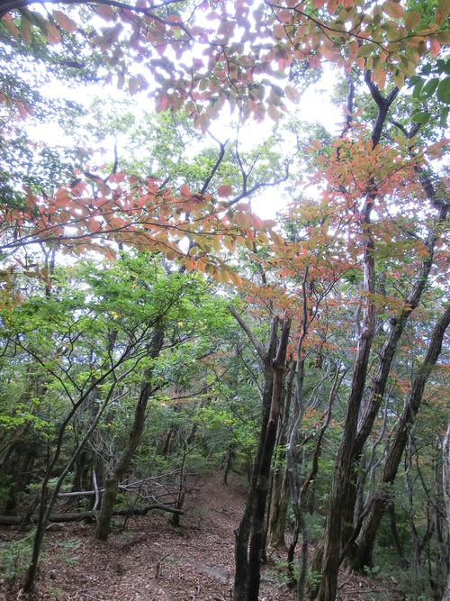 b0276758_17302813.jpg