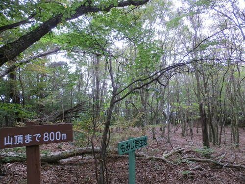 b0276758_17344558.jpg