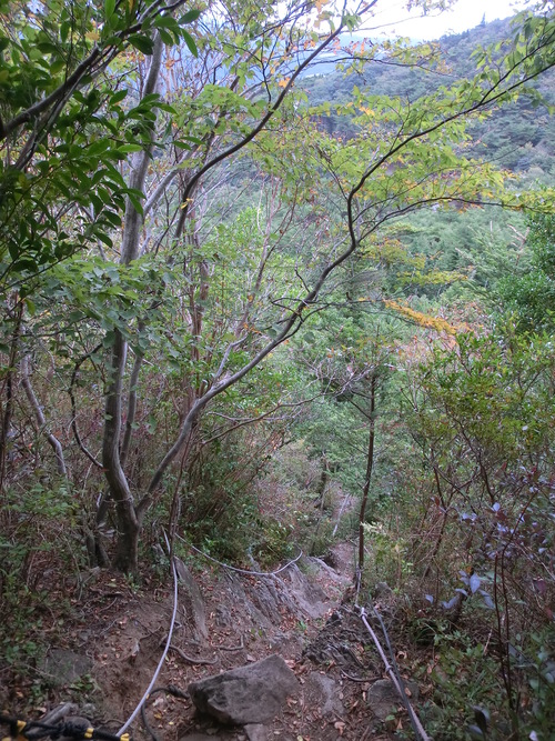 b0276758_1751945.jpg