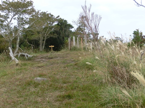 b0276758_17541540.jpg