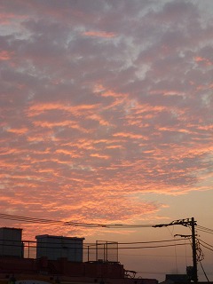 a0165160_18422896.jpg