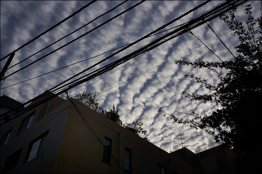 鯖雲に御所覆われて竜宮城_a0031363_243711.jpg