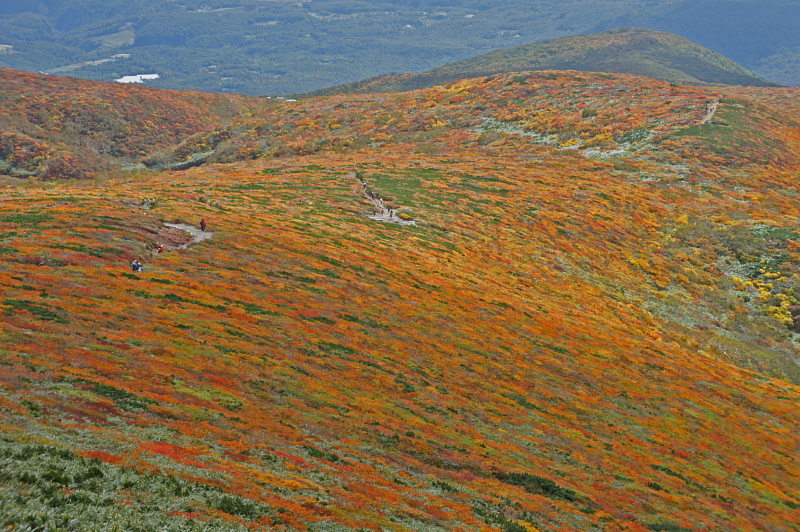 栗駒山の紅葉ふたたび_e0006964_9351689.jpg