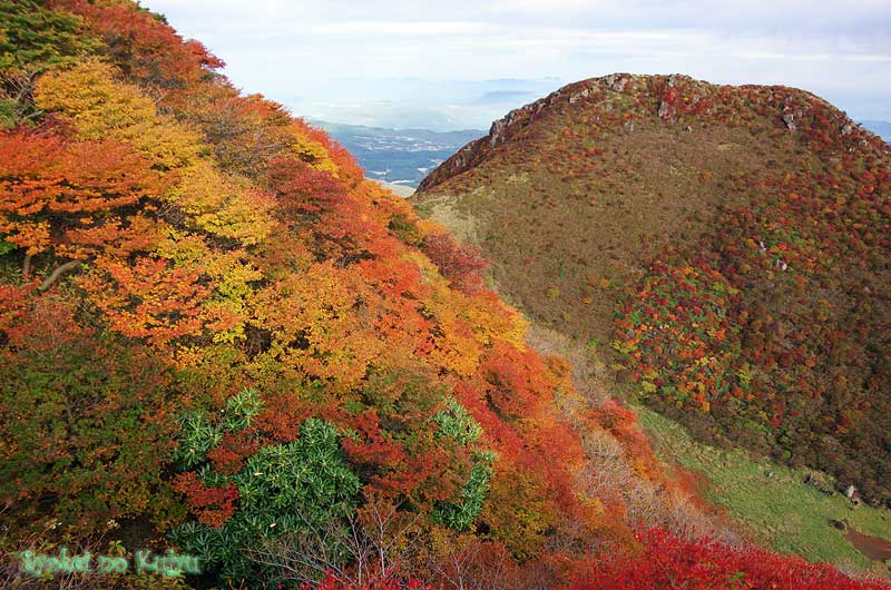 f0173067_1636399.jpg